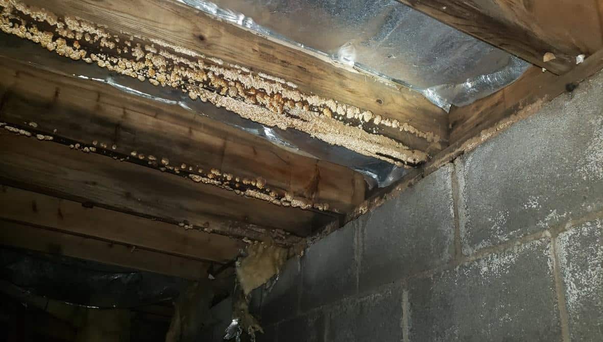 Crawlspace Encapsulation and Crawlspace Repair